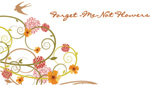 forget me not flowers