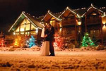 a bear and bison country inn - canmore